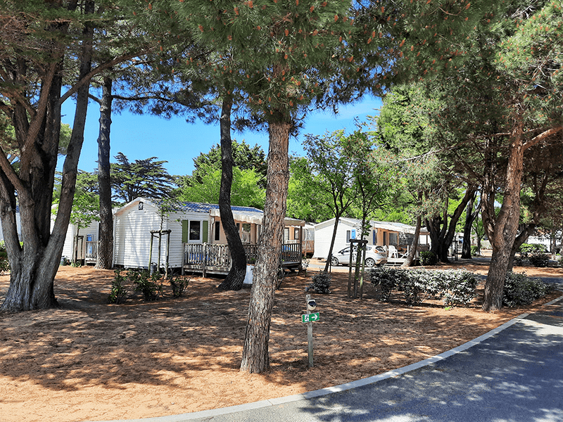 Camping APV Antioche au Bois Plage en Ré - Emplacement nu