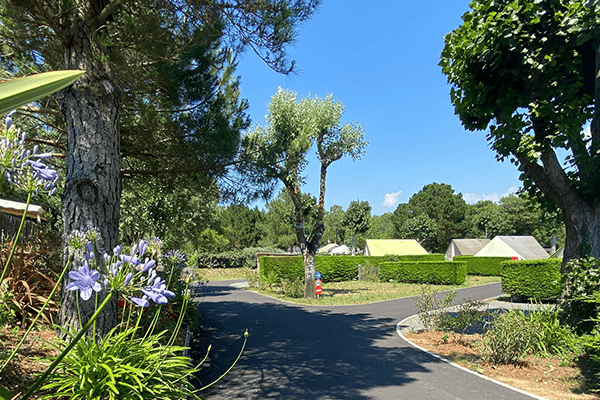 Camping La Parée du Jonc