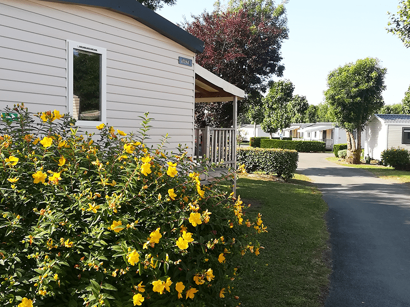 Allée Camping Vendée Moncalm