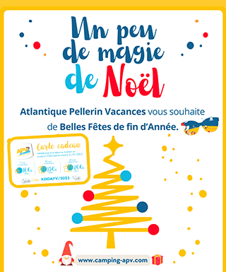 CARTE CADEAU APV