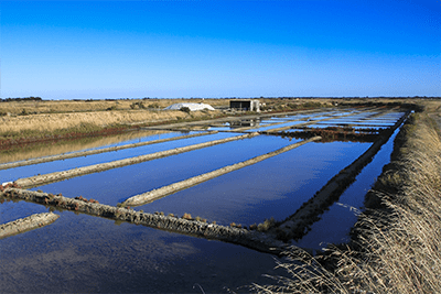 camping noirmoutier marais salants